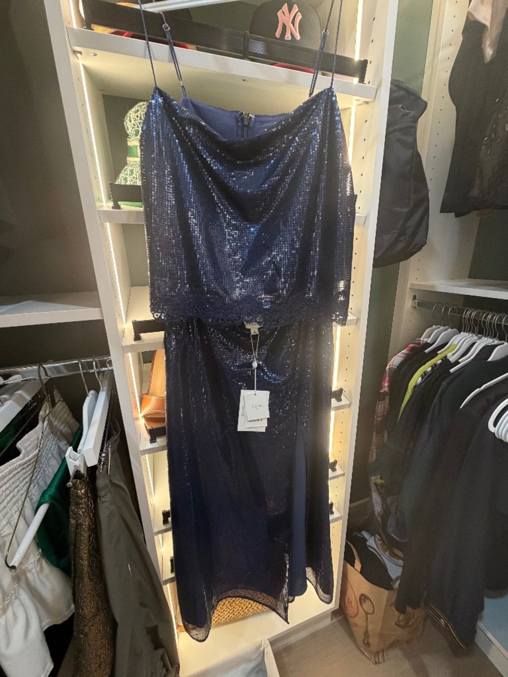 Cami NYC Camisole/Midi Skirt Set